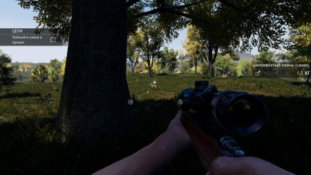 Hunting Simulator [v 1.1 + DLC] (2017) PC | RePack от xatab
