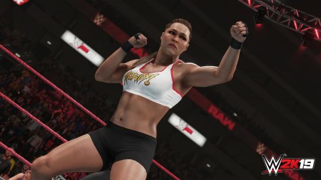 WWE 2K19 (2018) PC | RePack от xatab