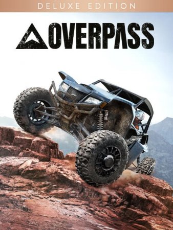 OVERPASS - Deluxe Edition (2020) PC | Лицензия